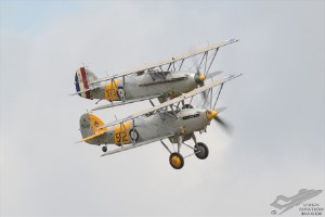 dsc_0085a
