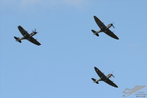 d7t_4329