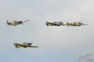 d7t_4366