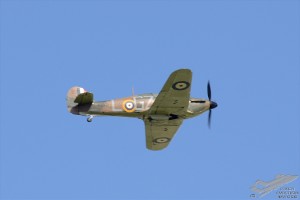 d7t_4381