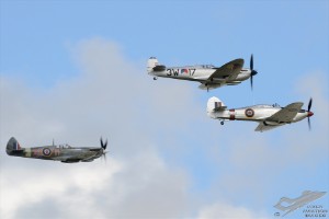d7t_4390