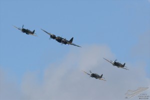 dsc_0206
