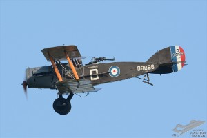 d71_0135