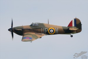 d7t_4919
