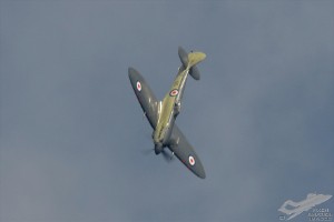 d7t_4967