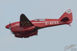 d7t_5036
