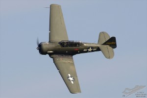 d7t_5145