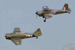 d7t_5154