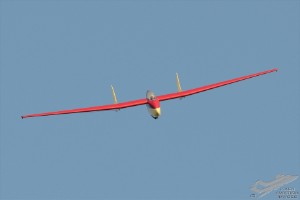 d7t_5203