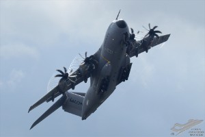 d7t_2181
