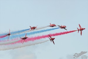 d7t_2496