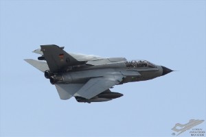 d7t_2541
