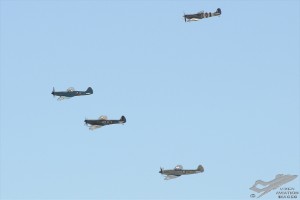 d7t_2905