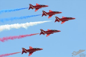 d7t_2951