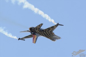 dsc_0132