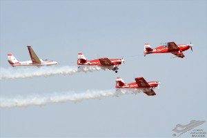 d7t_3419
