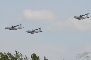 d7t_3446