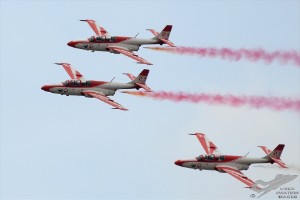 d7t_3645