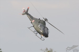 d7t_3664