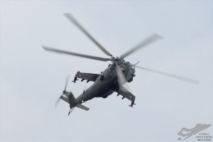 d7t_3716