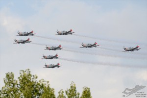 d7t_3729
