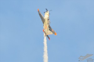 d7t_3781