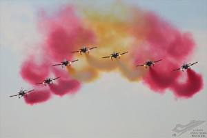 d7t_3950