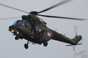d7t_4185