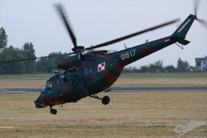 d7t_4234