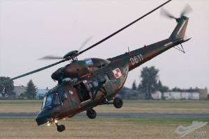 d7t_4238