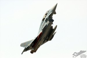 d7t_4252