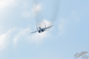 dsc_0915