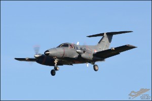 D7T_5379