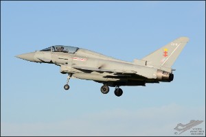 D7T_5406