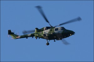 D71_0225a