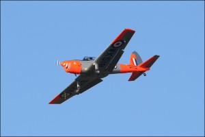 D7T_0395a