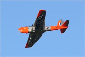 D7T_0398a