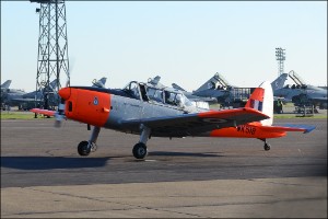 D7T_0412a