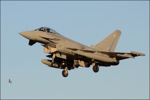 D7T_0472a