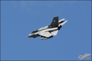D71_0019