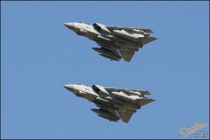 D7T_9955
