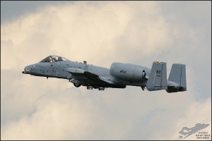 D71_0338a