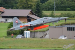 d7t_8181