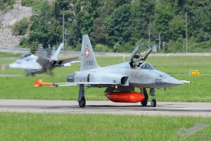 d7t_8533