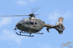 d7t_8621