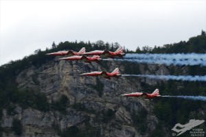 d7t_9503