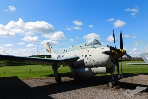 dscn0367