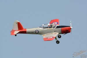 d71_0339