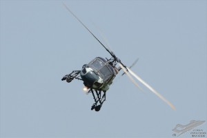 d7t_6980