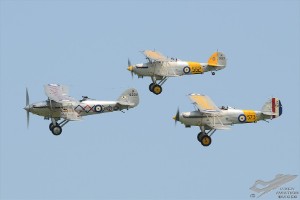 d7t_7125